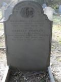 image of grave number 295782